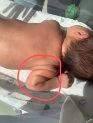 -杭州贝瑞斯美华国际月子中心