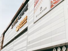 -上海颛桥万达广场