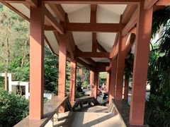 -南山植物园
