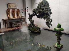 -觀芷隐轩