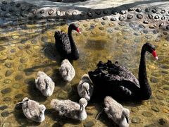 -水上乐园·欢乐世界