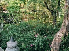 -济南大明湖景区