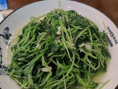 清炒灵芝菜-自游人·美食一楼·地道徽菜(三十年名店)