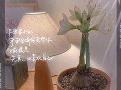 -本無咖啡·BeanWood Coffee