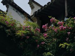 -惠山古镇·寄畅园