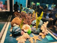 -天津自然博物馆