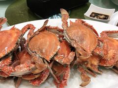 -雪园(南山街店)