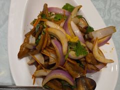 -海派美食·家宴海鲜青岛菜·石锅鲽鱼头(东方城店)