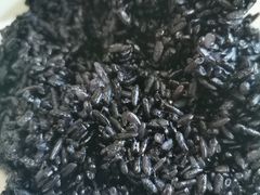 乌米饭-鱼水情·农家菜·大鱼头(南山竹海店)