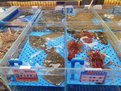 -大连湾旭日·家宴·海肠捞饭(马栏广场店)
