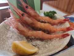 -三月居酒屋(青年大街店)