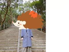 -上海佘山国家森林公园西佘山园