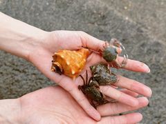 -东戴河风景区-止锚湾