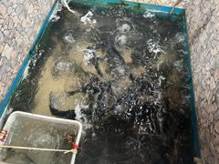 -姥家大锅台水库渔家
