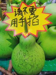 -東田造型