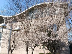 -南京航空航天大学(将军路校区)