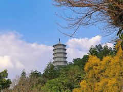 -深圳国际园林花卉博览园