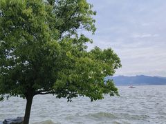 -东钱湖小普陀景区