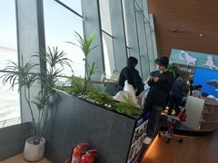 -抱抱地球咖啡馆(国家海洋博物馆店)