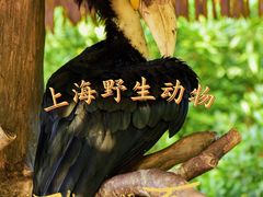 -上海野生动物园