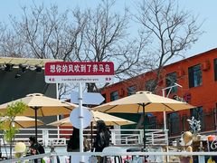 -养马岛旅游度假区
