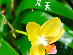 -国家植物园南园