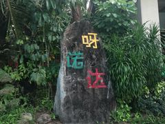 -呀诺达热带雨林