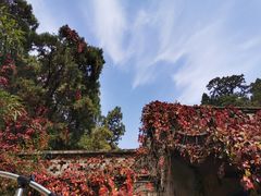 -太山飞越山西360极限飞球