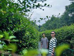 -大屏嶂森林公园