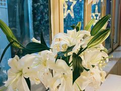 -春树下·树屋花房西餐厅(罍街AS1980店)