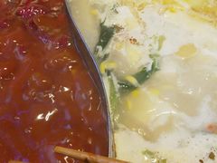 -季季红火锅(动壹店)