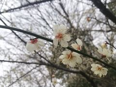 -堤角公园
