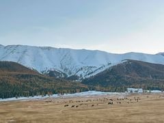 -哈密雅丹大海道景区