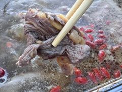 -金鼎雪山牦牛杂火锅(理县总店)