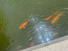 -练塘古镇