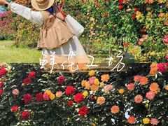 -栖露营camping·天幕烧烤·团建拓展·采摘营地