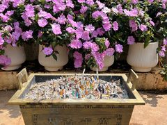 -西双版纳总佛寺