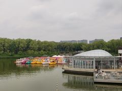 -大兴滨河森林公园