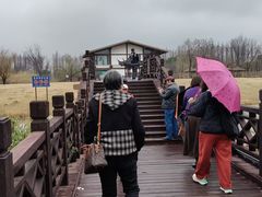 -南湖湿地公园