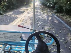 -盐城丹顶鹤湿地生态旅游区