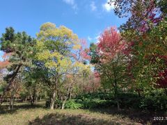 -南京枫彩漫城