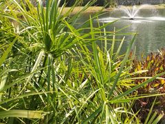 -西北湖绿化广场