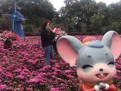 -广州市流溪河国家森林公园