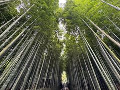 -树山生态村