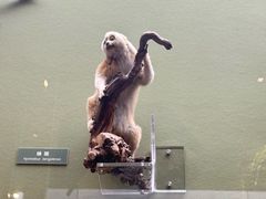 -国家自然博物馆