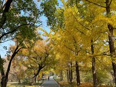 -国家植物园南园