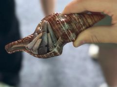 -成都银泰中心in99