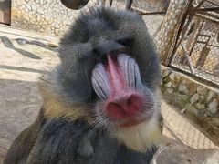 -云南野生动物园
