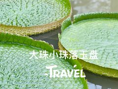 -中国科学院华南植物园