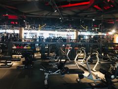 -威尔仕健身(虹桥南丰城店)